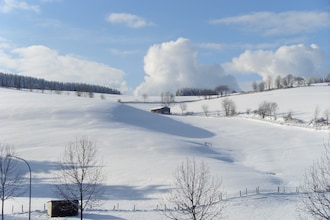 Willingen