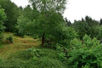 Willingen
