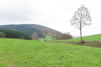 An der Hardt