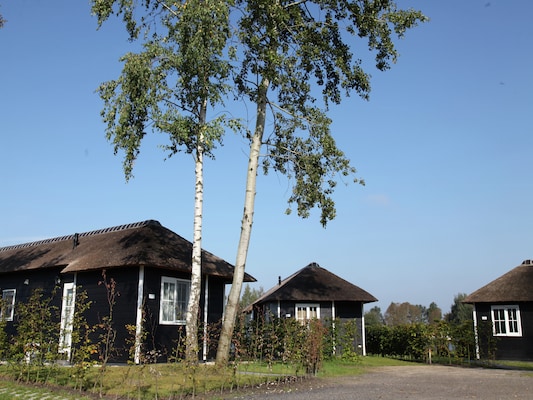 Ferienhaus in Hoge Hexel (Niederlande) und 1 Hund erlaubt