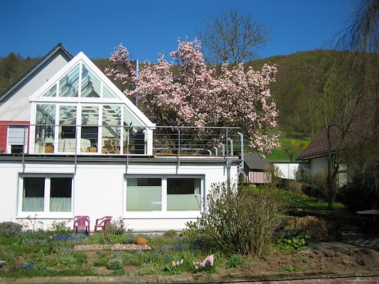 Ferienhaus in Bad Pyrmont ot Löwensen (Deutschland) und 1 Hund erlaubt