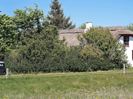 Ferienhaus in Vesløs (Dänemark) und 2 Hunde erlaubt