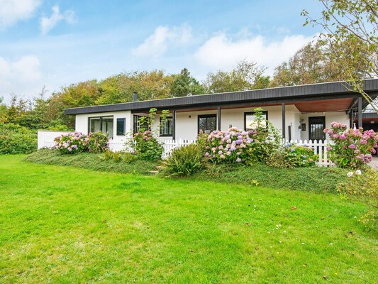 Ferienhaus in Struer (Denemarken) und 2 Hunde erlaubt