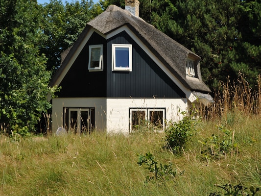 Vakantiehuis in De Cocksdorp (Nederland) 1 hond is welkom