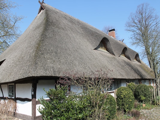 Ferienhaus in Reddelich (Deutschland) und 2 Hunde erlaubt