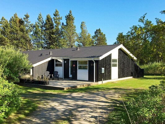 Ferienhaus in Jerup (Dänemark) und 2 Hunde erlaubt