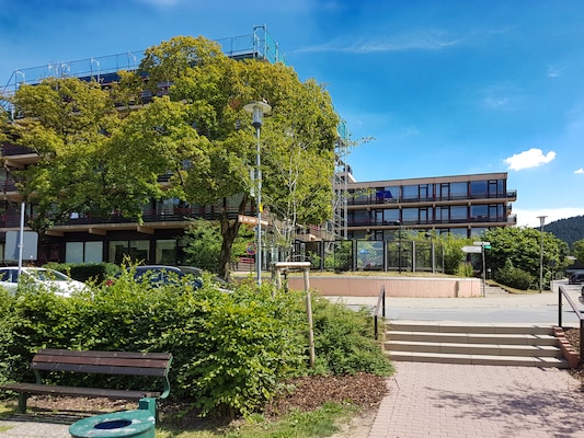 Vakantiehuis met omheinde tuin in Hahnenklee (Duitsland) 1 hond is welkom