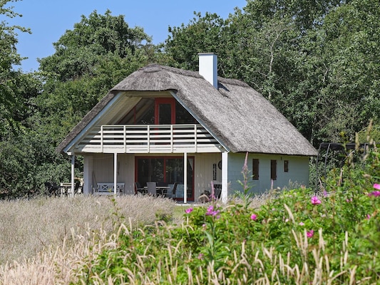 Vakantiehuis in Thyholm (Denemarken) 2 honden zijn welkom