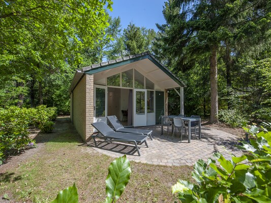 Ferienhaus in Wissel/Epe (Niederlande) und 2 Hunde erlaubt