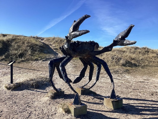 Vakantiehuis in Fjerritslev (Denemarken) 2 honden zijn welkom