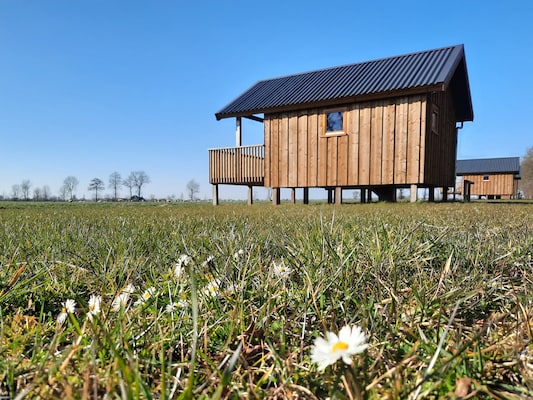Vakantiehuis met 8 slaapkamer(s) in Ruinerwold (Nederland) voor 16 personen