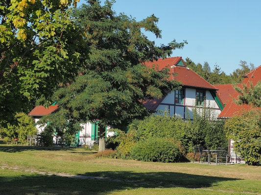 Ferienhaus in Dranske (Deutschland) und 1 Hund erlaubt