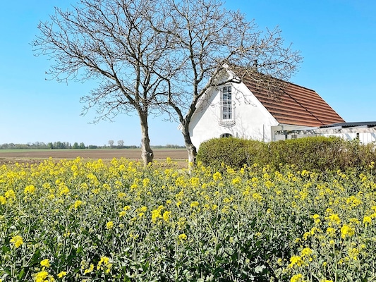 Ferienhaus in SKIVARP (Schweden) und 2 Hunde erlaubt