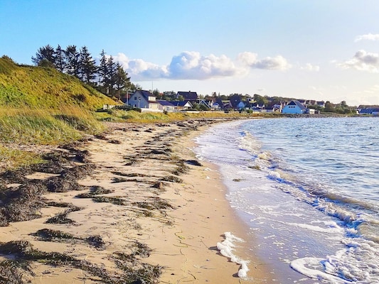 Ferienhaus in Farsø (Dänemark) und 2 Hunde erlaubt