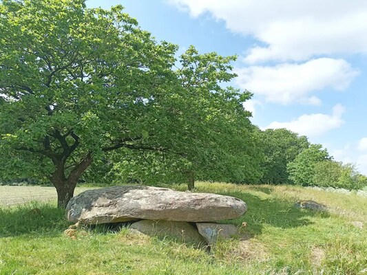 Ferienhaus in Hovborg (Dänemark) und 2 Hunde erlaubt