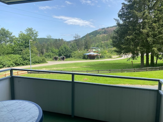 Ferienhaus in Hahnenklee (Deutschland) und 1 Hund erlaubt