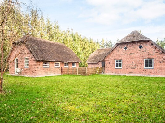 Vakantiehuis in Ulfborg (Denemarken) 2 honden zijn welkom