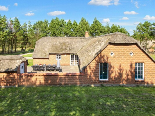 Ferienhaus in Ulfborg (Dänemark) und 2 Hunde erlaubt