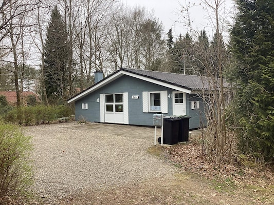 Ferienhaus in Ansager (Dänemark) und 2 Hunde erlaubt