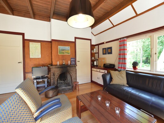 Ferienhaus in Zuidwolde (Niederlande) und 2 Hunde erlaubt