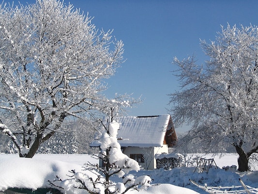 Vakantiehuis in Ubersee (Duitsland) 2 honden zijn welkom