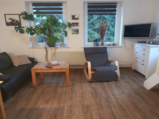 Ferienhaus mit umzäuntem Garten in Diemelsee-Stormbruch (Deutschland) und 5 Hunde erlaubt