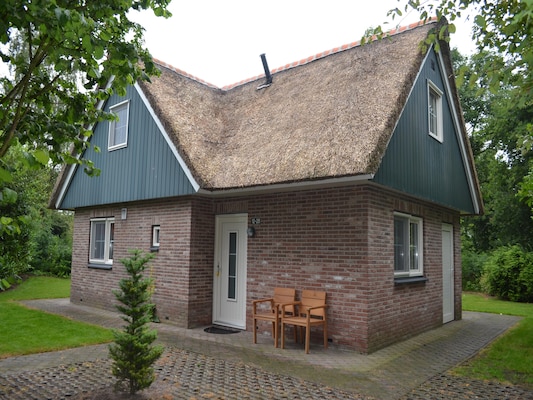 Ferienhaus in Paasloo (Niederlande) und 2 Hunde erlaubt