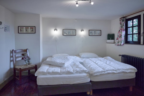 Majestueuze kasteelvilla in de bossen van Spa met sauna en bubbelbad voor 20 personen - thumbnail 4