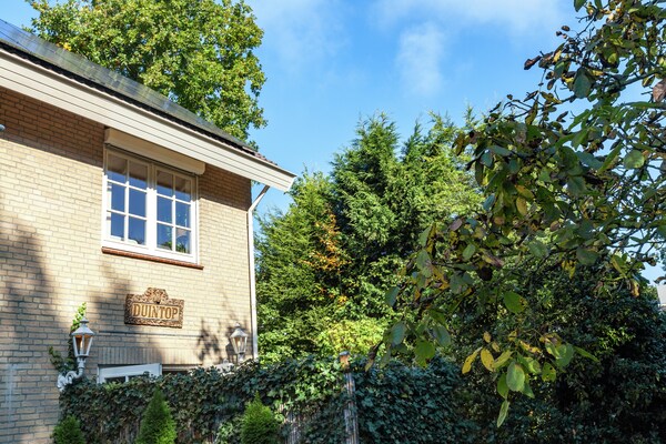 Twee Duinen: sfeervol appartement in het bos, 700m van strand - thumbnail 6
