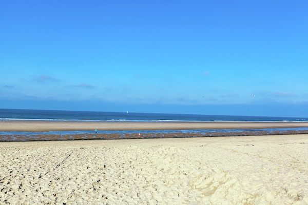 Twee Duinen: sfeervol appartement in het bos, 700m van strand - thumbnail 5
