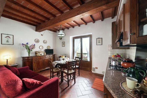Sfeervol appartement Il Castagno in Poppi voor 2 personen - thumbnail 2
