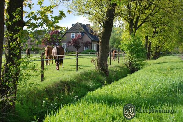 Dorpswoning De Plek – Vrijstaand familiehuis in het bos bij Leende - thumbnail 6