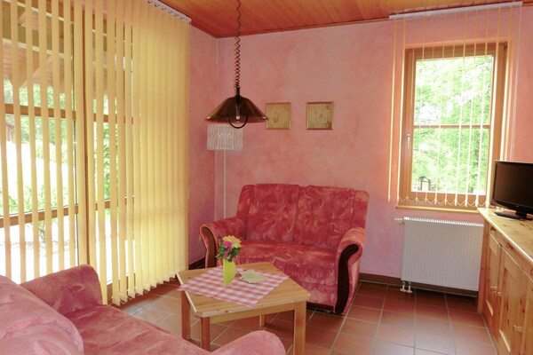 Gezinsvriendelijk vakantiehuis voor 6 personen in de bossen van Schirgiswalde - thumbnail 5