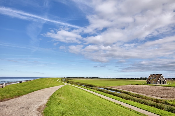 Landelijk genieten in luxe villa Wad Anders aan de Waddenzee voor 22 gasten - thumbnail 6