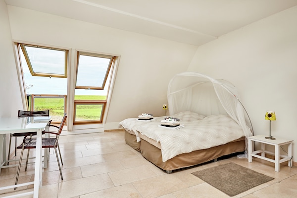 Landelijk genieten in luxe villa Wad Anders aan de Waddenzee voor 22 gasten - thumbnail 5