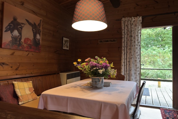 Sfeervol vakantiehuis in Eschede voor 4 personen - thumbnail 6