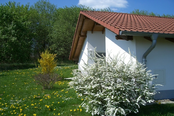 Comfortabel vakantiehuis voor 4 personen in Uslar - thumbnail 4