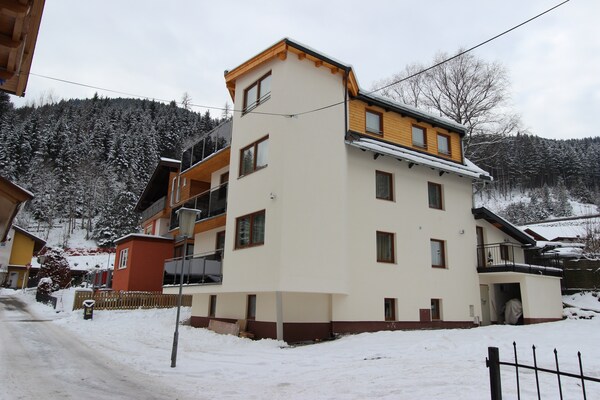 chalet-schmittenbach--2- sleeps 4