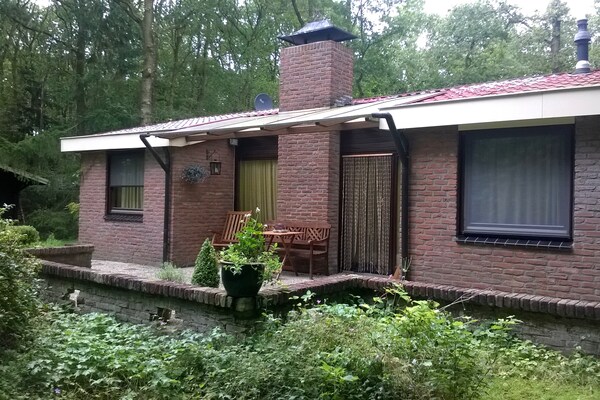 The Forest Cottage: sfeervol boshuisje aan Drents-Friese Wold - thumbnail 1