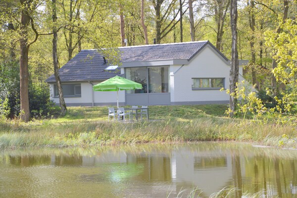 Bosrijke bungalow in Stramproy met tuin, huisdieren welkom - thumbnail 5