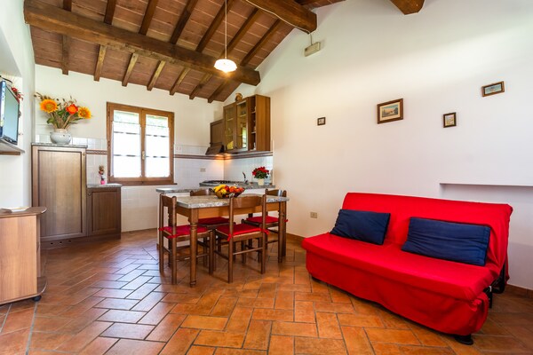 Landelijk appartement bij Castiglion Fiorentino met gedeeld zwembad - thumbnail 3