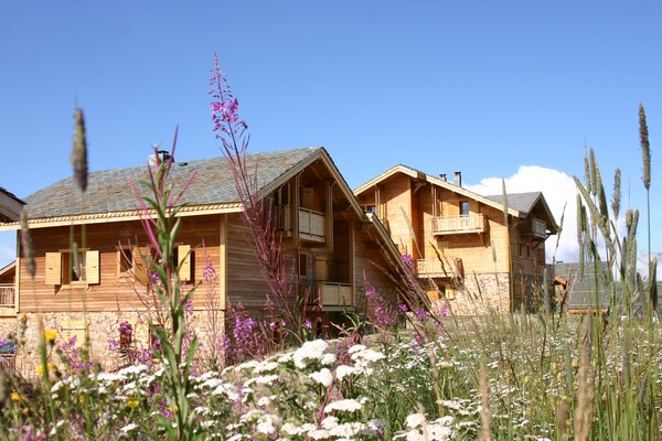 Ruim chalet voor 12 personen met sauna en tuin vlakbij de piste in Alpe d'Huez - thumbnail 6