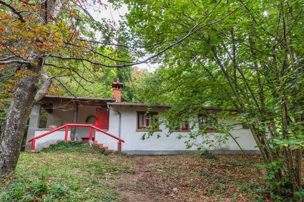Loggetta: rustig vakantiehuis met zwembad in Toscaans bos bij Pistoia - thumbnail 6