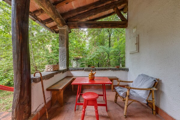 Loggetta: rustig vakantiehuis met zwembad in Toscaans bos bij Pistoia - thumbnail 5