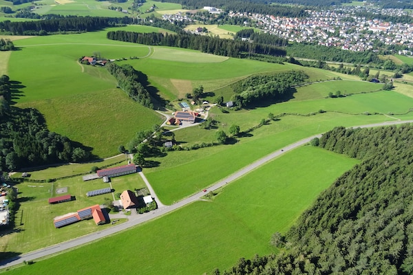 Historisch molenhuis aan de Brigach met uitzicht op het Zwarte Woud - thumbnail 6