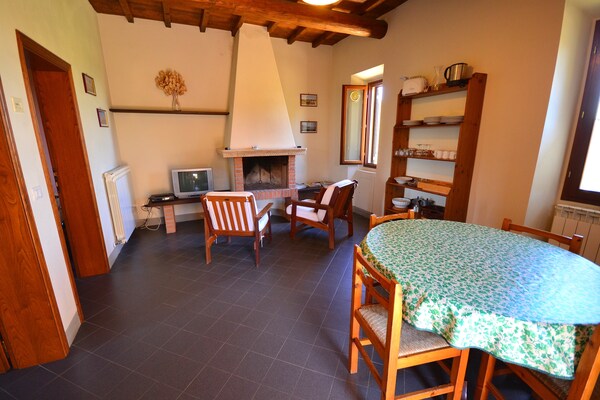 Canaiolo: Bosrijk appartement bij het meer voor 4 personen in Figline Valdarno - thumbnail 4