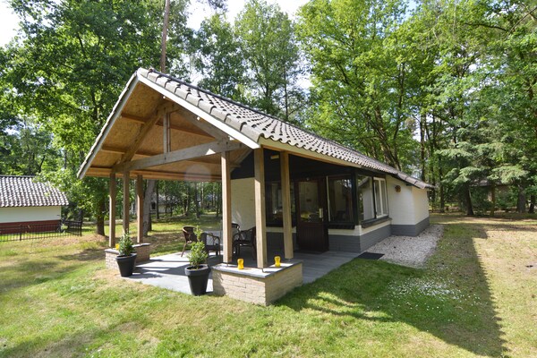 't Haasje: Knus vakantiehuis in natuurgebied Kempen-Broek - thumbnail 6