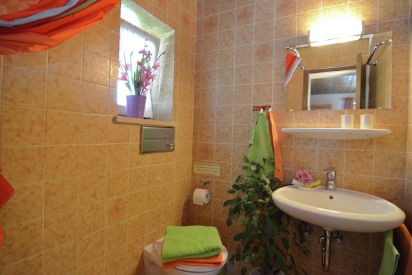 Knus appartement bij de Soier See met tuin en bergzicht - thumbnail 6