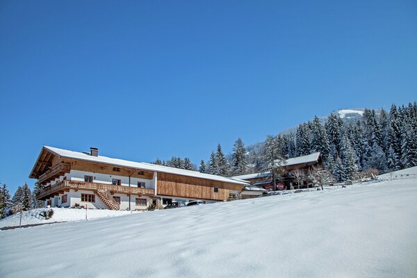  in Austria - a perfect villa in Austria?