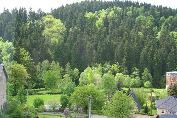 Sfeervolle villa in Grunhainichen-Borstendorf voor 4 personen - thumbnail 5